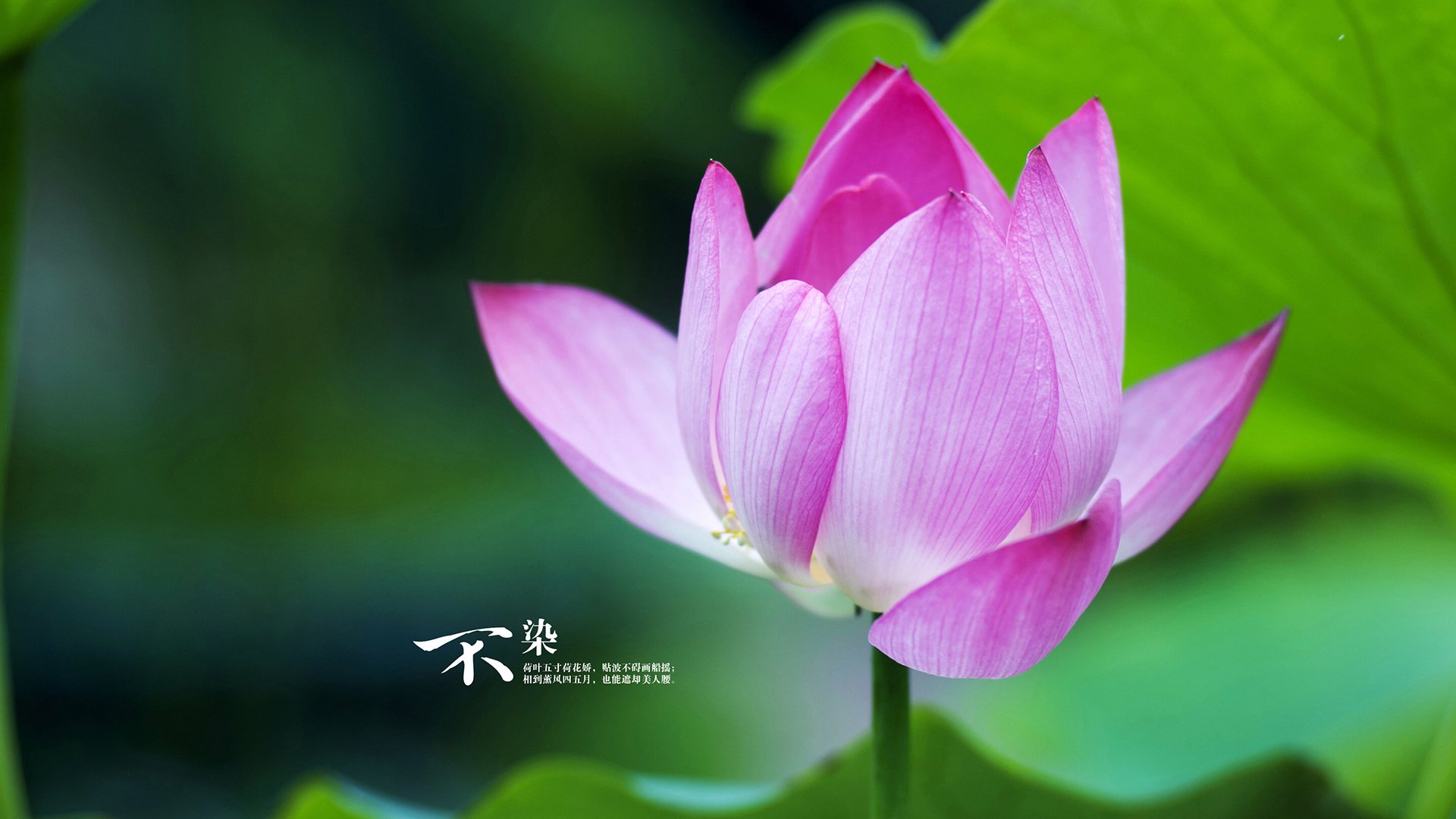 爱游戏app下载-今年联盟三分命中率最高的球队，都有哪些亮点？，联盟现役三分命中率